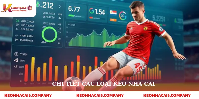 Chi tiết các loại kèo nhà cái