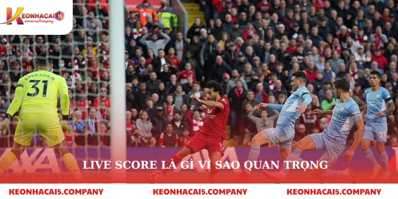 Live Score 1 Live score là gì vì sao quan trọng
