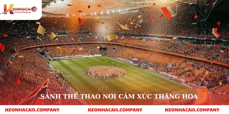 Sảnh thể thao nơi cảm xúc thăng hoa