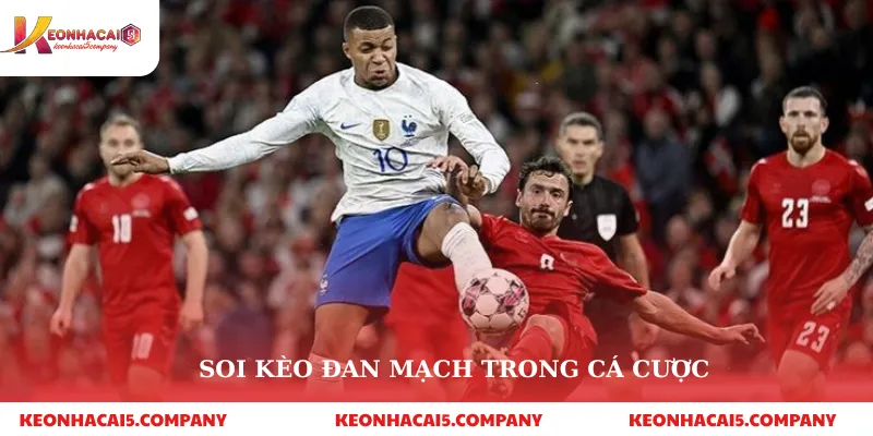 Soi kèo đan mạch trong cá cược