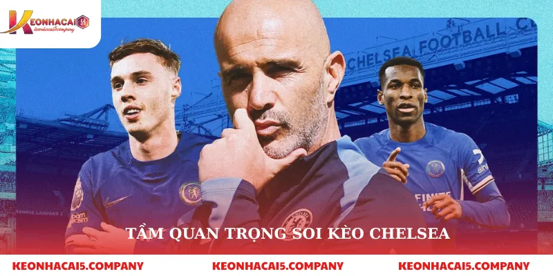 Tầm quan trọng soi kèo chelsea
