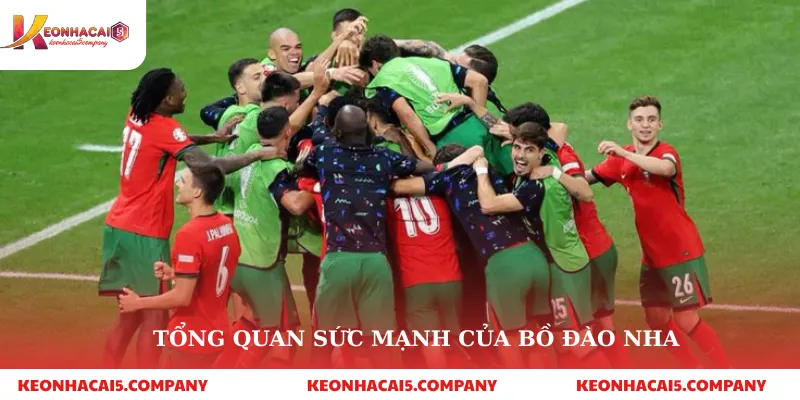 Soi kèo Bồ Đào Nha: Phân Tích Chuyên Sâu và Dự Đoán Kết Quả 2 Tổng quan sức mạnh của bồ đào nha